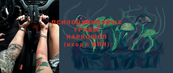 трава Белокуриха