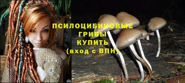 эйфоретик Беломорск