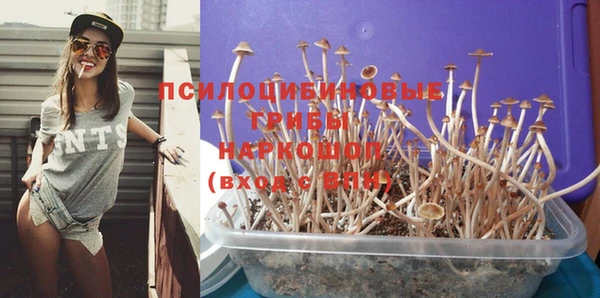 эйфоретик Белоозёрский