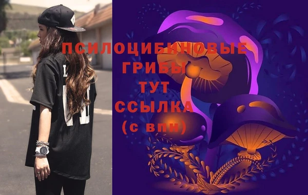 эйфоретик Белоозёрский